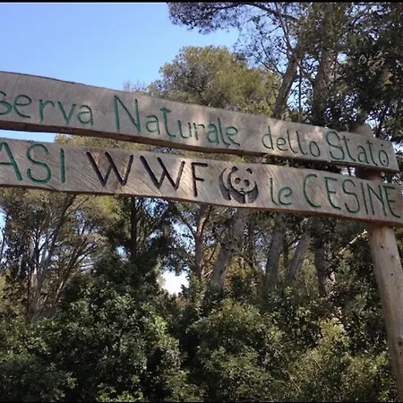 Imperial App. Terrace &